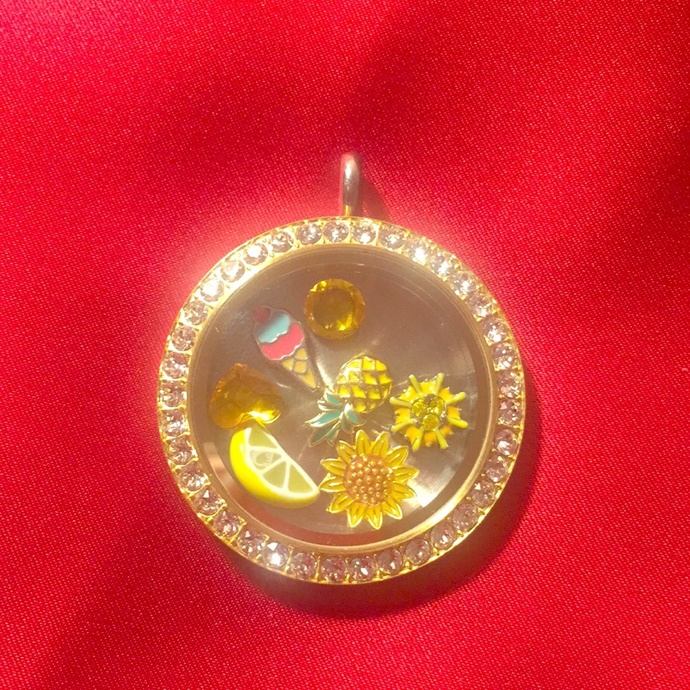 Origami Owl summer living locket set